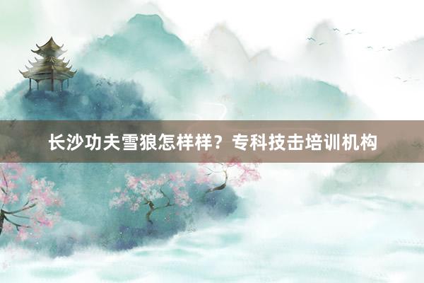 长沙功夫雪狼怎样样？专科技击培训机构